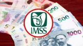 Foto ilustrativa de la nota titulada: Pensión de viudez IMSS 2026: qué requisitos ya no se piden y cómo solicitarla