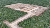 Foto ilustrativa de la nota titulada: Profepa suspende la construcción de granja avícola en Kinchil, Yucatán