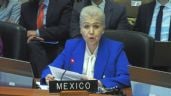 Foto ilustrativa de la nota titulada: México defiende en la OEA el asilo a la exprimera ministra de Perú, Betssy Chávez