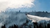 Foto ilustrativa de la nota titulada: Incendios arrasan miles de hectáreas en la Patagonia; con 10% de focos activos, el riesgo persiste