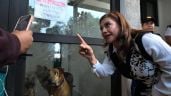 Foto ilustrativa de la nota titulada: Brugada asegura que perros resguardados en la Utopía GAM se encuentran en condiciones adecuadas