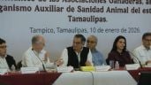 Foto ilustrativa de la nota titulada: Tamaulipas refuerza acciones contra el gusano barrenador; no se cerrará comercialización del ganado: Berdegué Sacristán