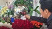 Foto ilustrativa de la nota titulada: Profeco lanza operativo especial por el Día del Amor y la Amistad