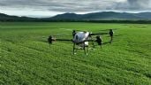 Foto ilustrativa de la nota titulada: Drones: beneficios y amenazas