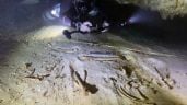 Foto ilustrativa de la nota titulada: Hallan esqueleto de hace más de 8 mil años en cenotes del Caribe mexicano