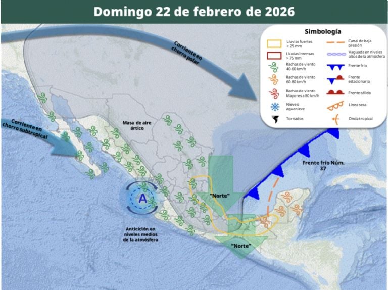 f768x1-242205_242332_5055