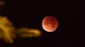 Foto ilustrativa de la nota titulada: Eclipse total de Luna 2026: consejos de la NASA para observar el fenómeno