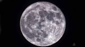 Foto ilustrativa de la nota titulada: La NASA busca establecer la primera colonia humana en la Luna