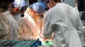 Foto ilustrativa de la nota titulada: Los retos para la donación de órganos en México: 18 mil 912 personas esperan un trasplante