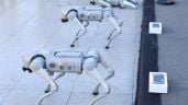 Foto ilustrativa de la nota titulada: "Perros robot" apoyarán a policías mexicanos durante el Mundial de 2026