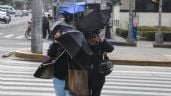 Foto ilustrativa de la nota titulada: Noche de sábado y madrugada de domingo en alerta por viento y frío en la CDMX