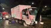 Foto ilustrativa de la nota titulada: Camioneta de limpia con trabajadores a bordo choca contra árbol en Periférico sur; hay 12 heridos