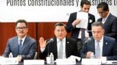Foto ilustrativa de la nota titulada: El “Plan B” se discutirá el lunes en comisiones y el miércoles en el pleno del Senado