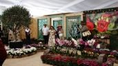 Foto ilustrativa de la nota titulada: Compran 1 millón de plantas para embellecer la CDMX rumbo al Mundial 2026