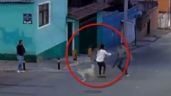 Foto ilustrativa de la nota titulada: Mujer es atacada con un machete por defender a perros callejeros en Puebla