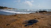 Foto ilustrativa de la nota titulada: Chapopoteras y un barco son el origen del derrame en el Golfo de México, dicen autoridades