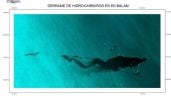 Foto ilustrativa de la nota titulada: Derrame en el Golfo se originó en ducto de Pemex; se sabía desde febrero: organizaciones ambientales