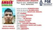 Foto ilustrativa de la nota titulada: Activan Alerta Amber por adolescente originario de Torreón que desapareció cuando iba a Mazatlán