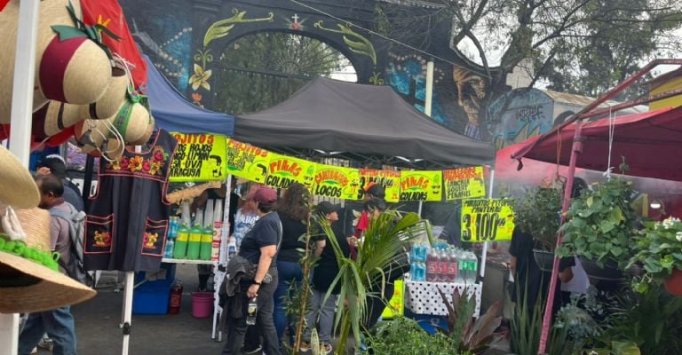 f768x400-245116_289019_5050 Foto: Ximena Arochi