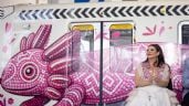 Foto ilustrativa de la nota titulada: Esta obra no se va con el Mundial, esta obra se queda: Brugada inaugura Tren Ligero “El Ajolote”