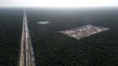 Foto ilustrativa de la nota titulada: La simulación del cuidado del medio ambiente en México