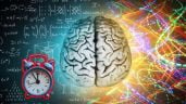 Foto ilustrativa de la nota titulada: Cómo cambia el cerebro humano desde la infancia hasta la vejez, según la UNAM