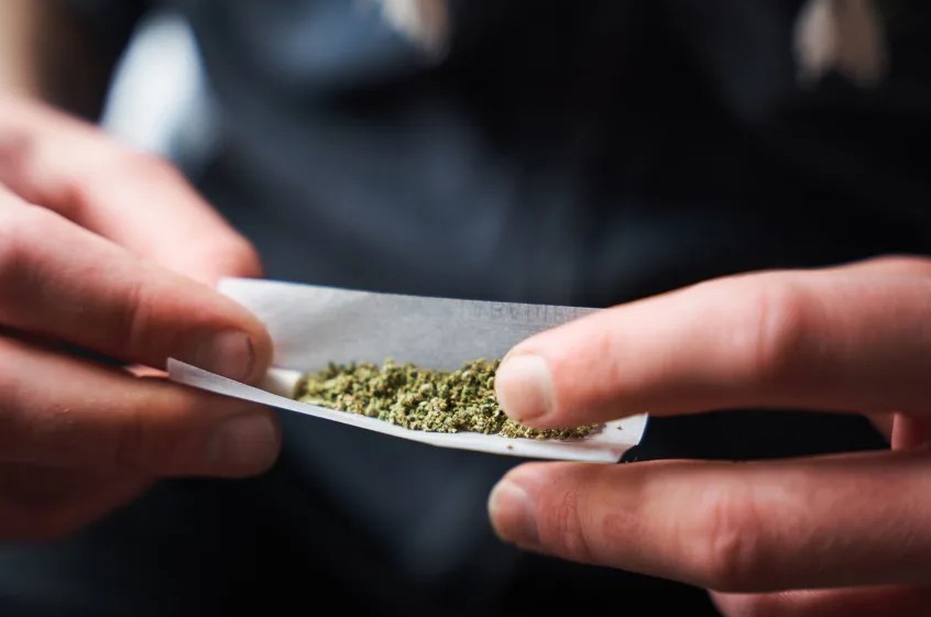 Marihuana duplica riesgo de muerte por infarto y derrame cerebral, revela estudio global con 200 millones de casos