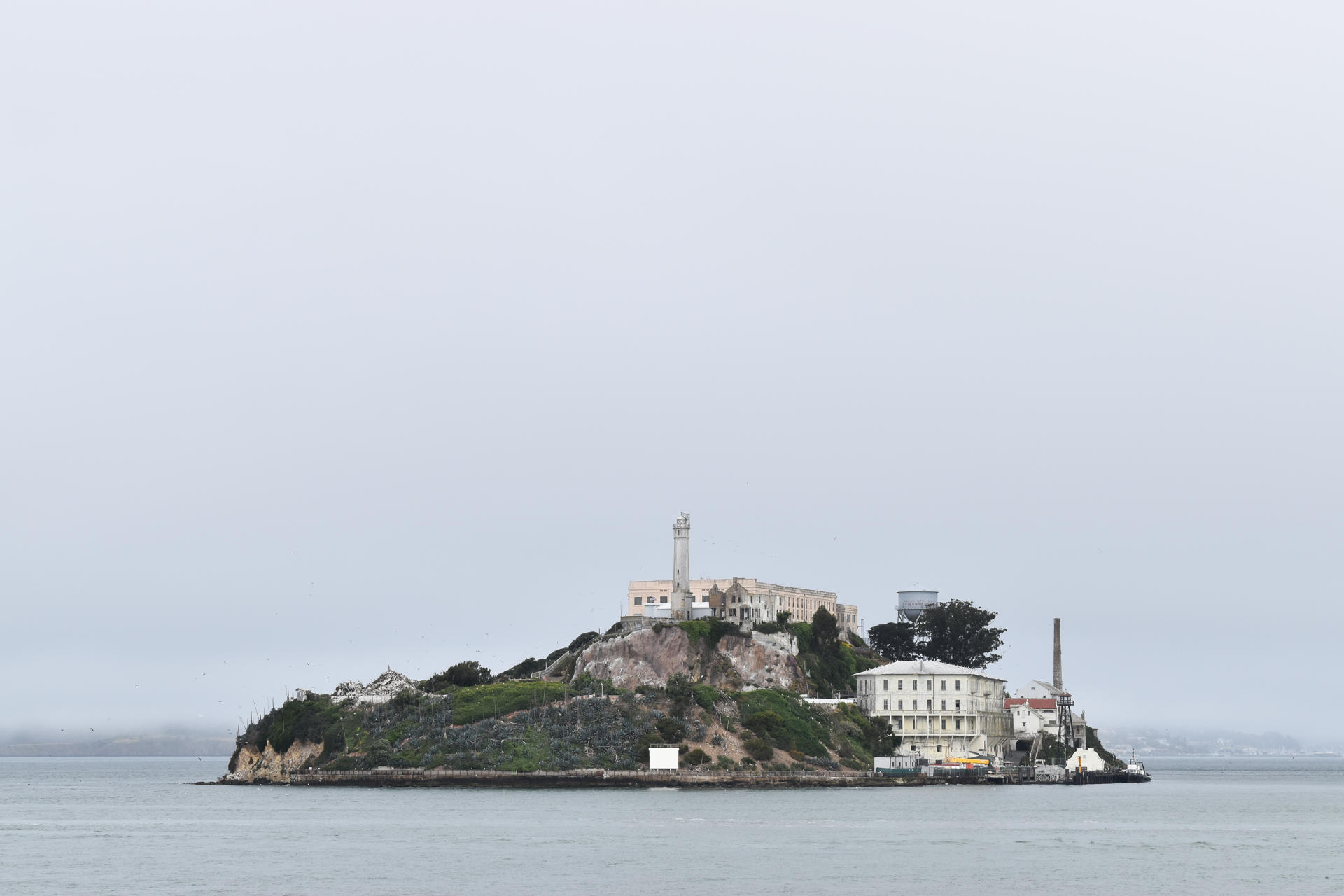 'Alcatraz Lagarto', cárcel rodeada de caimanes y serpientes para migrantes detenidos - alcatraz-trump-carcel