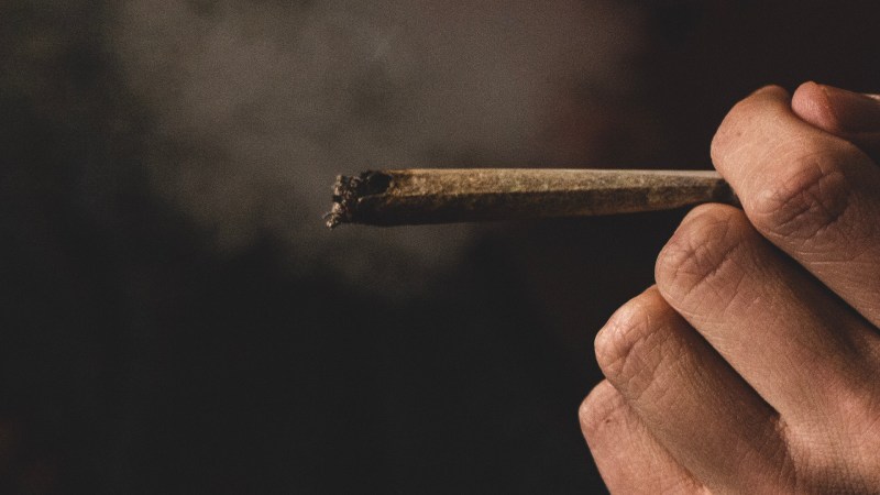 Más de 300 millones de personas consumen drogas en el mundo, el 6 % de la población adulta - drogas-mariguana