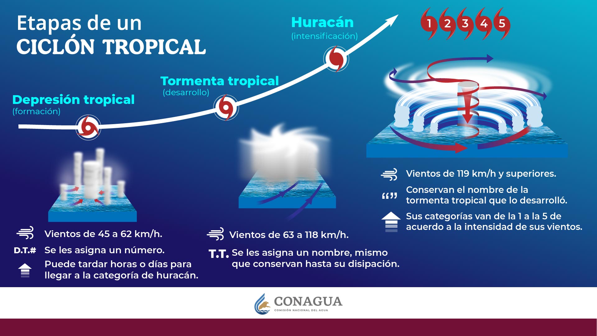 UNAM pide incrementar el monitoreo ante fenómenos meteorológicos - etapas-de-un-ciclon-tropical