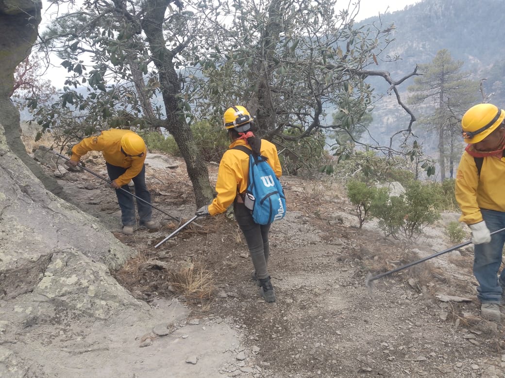 Amanece Chihuahua sin incendios forestales activos