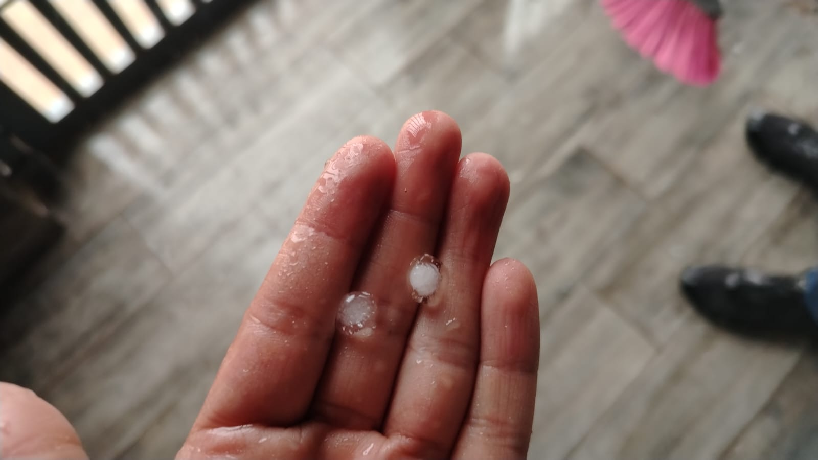 Reporta CEPC incidencias por lluvias durante la tarde de este domingo
