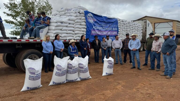 entrega20de20insumos2028829