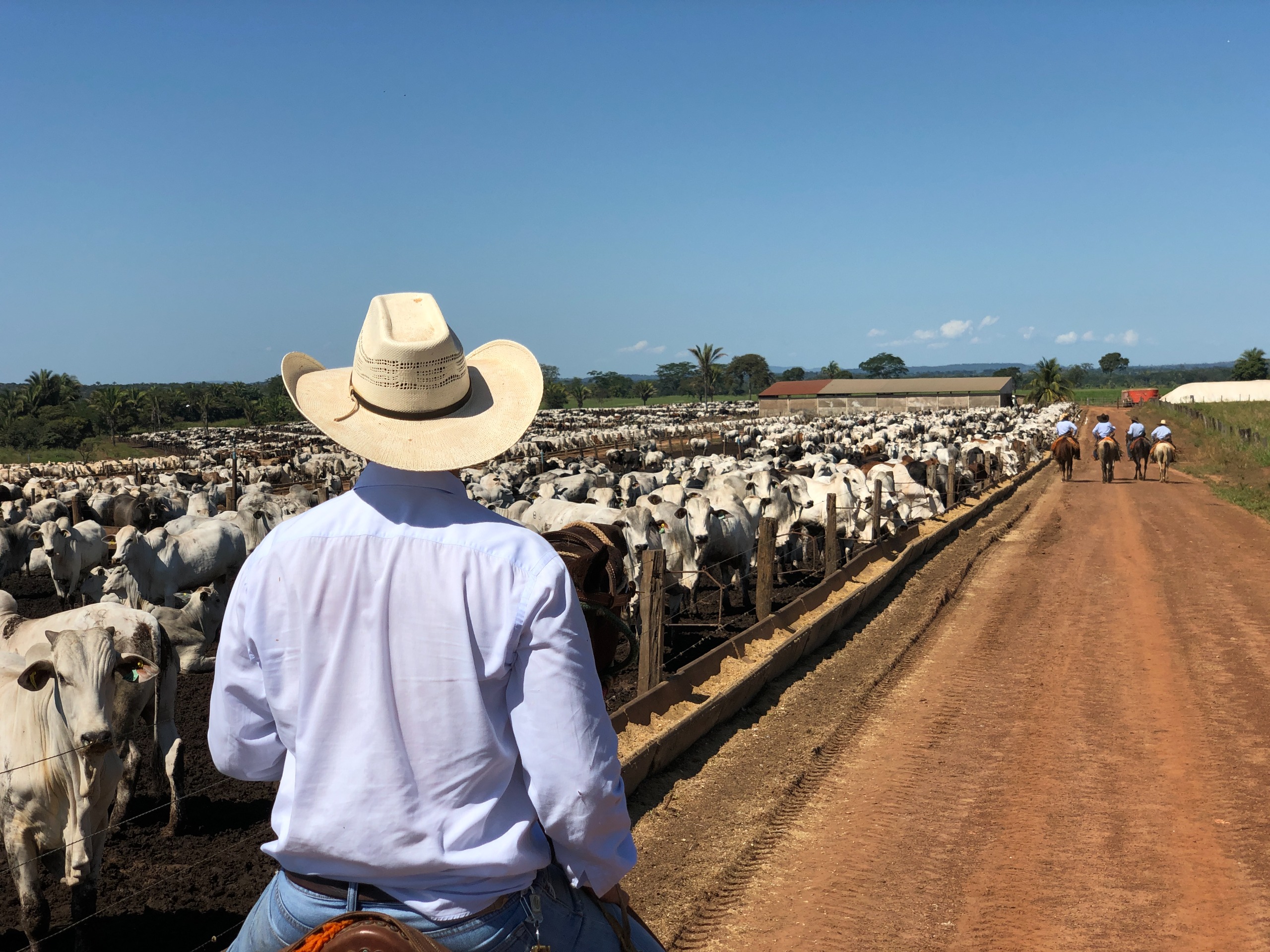 Cierra hoy convocatoria de apoyo para servicios de capacitación y asistencia técnica a productores de ganado bovino