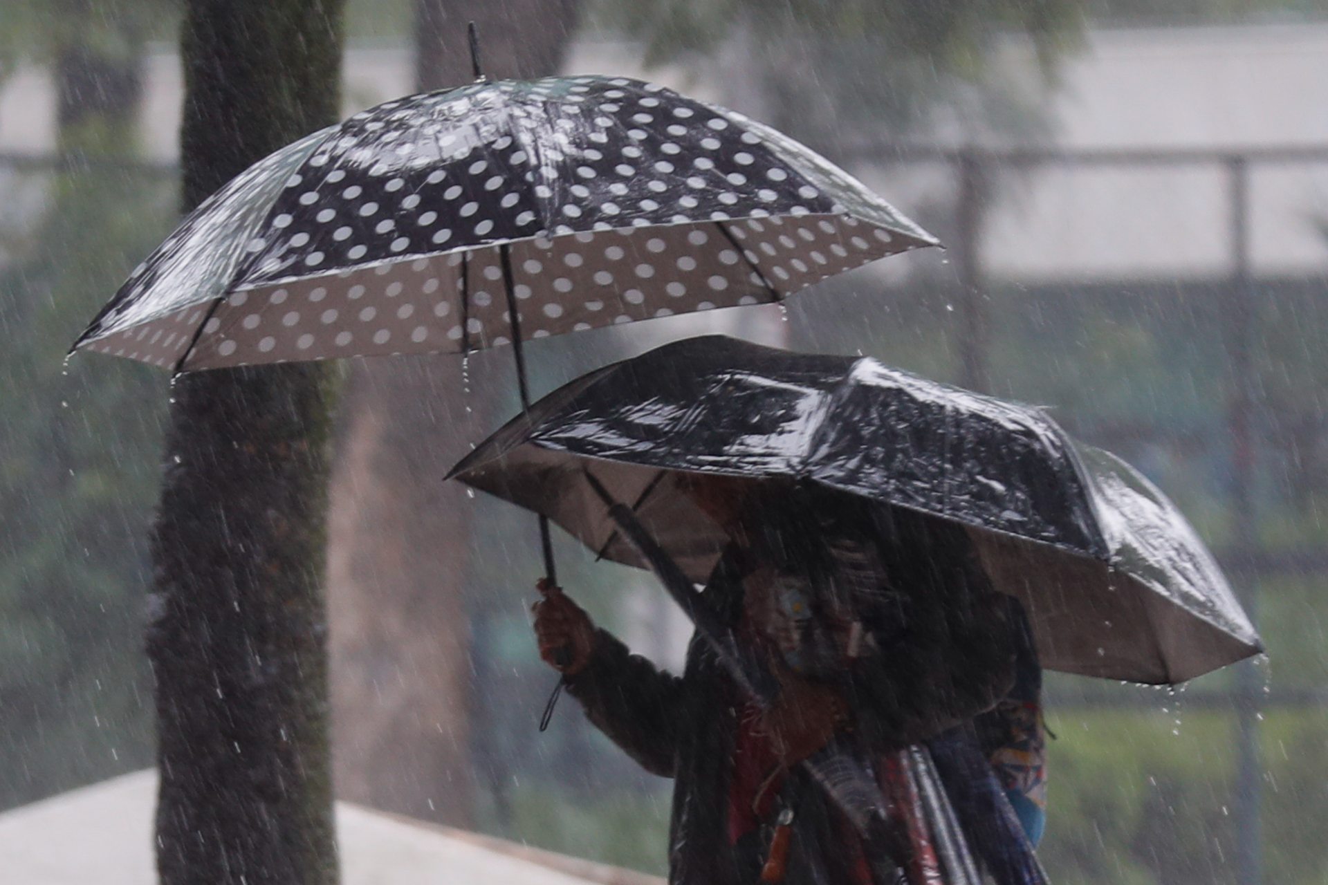 SMN pronostica lluvias puntuales con descargas eléctricas en la Ciudad de México