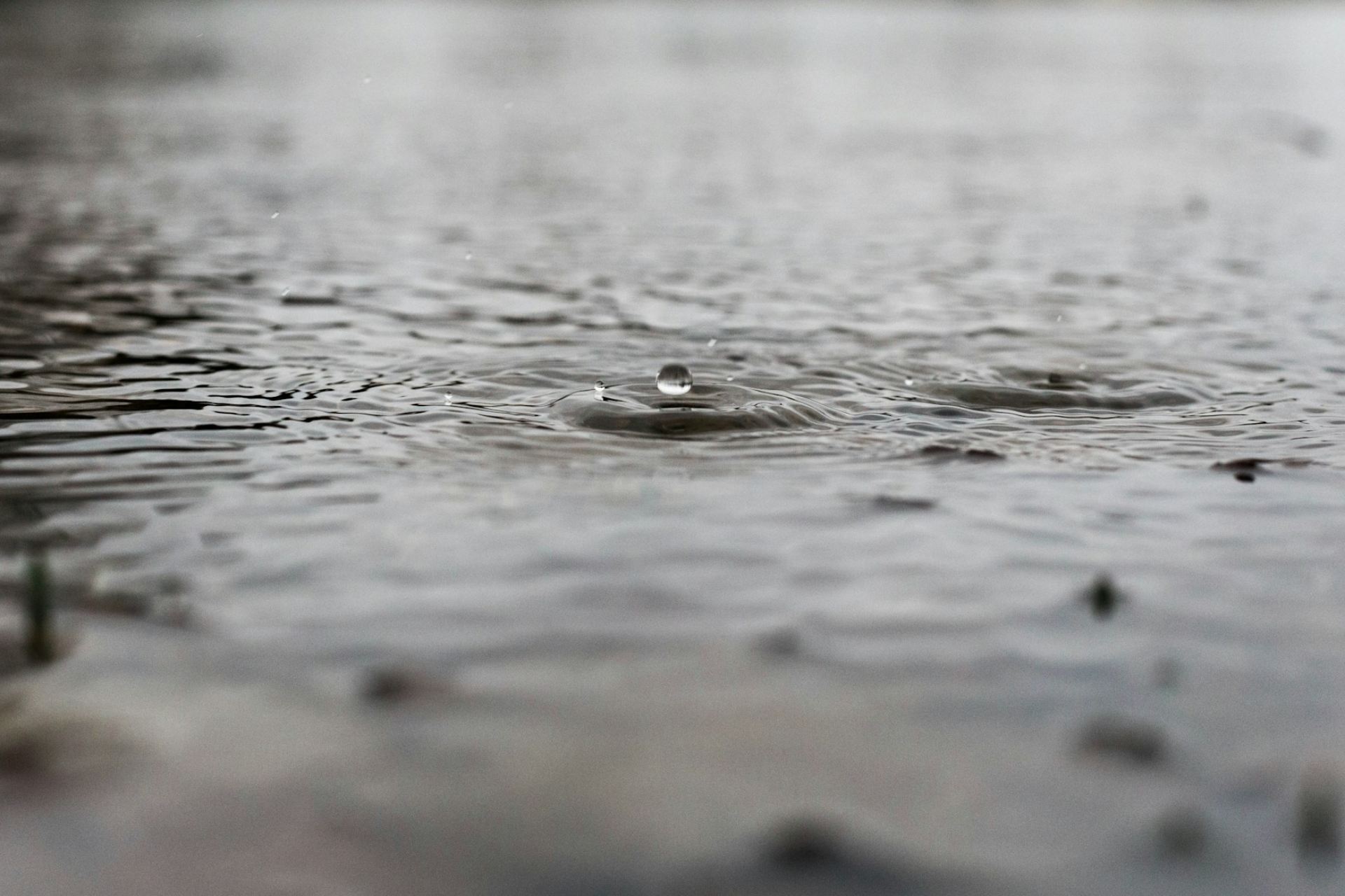 Clima hoy jueves 24 de julio en México: Seguirán las lluvias y el calor