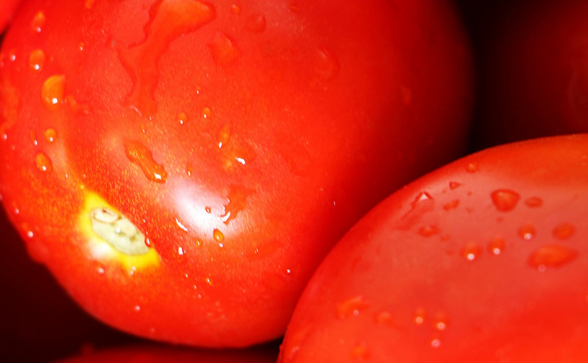 Productores alertan un alza de precios y riesgo alimentario por cuota al jitomate