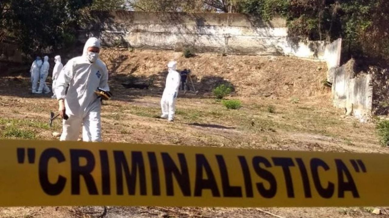 Hijo encuentra a su madre sin vida; sus propios perros se alimentaron del cuerpo