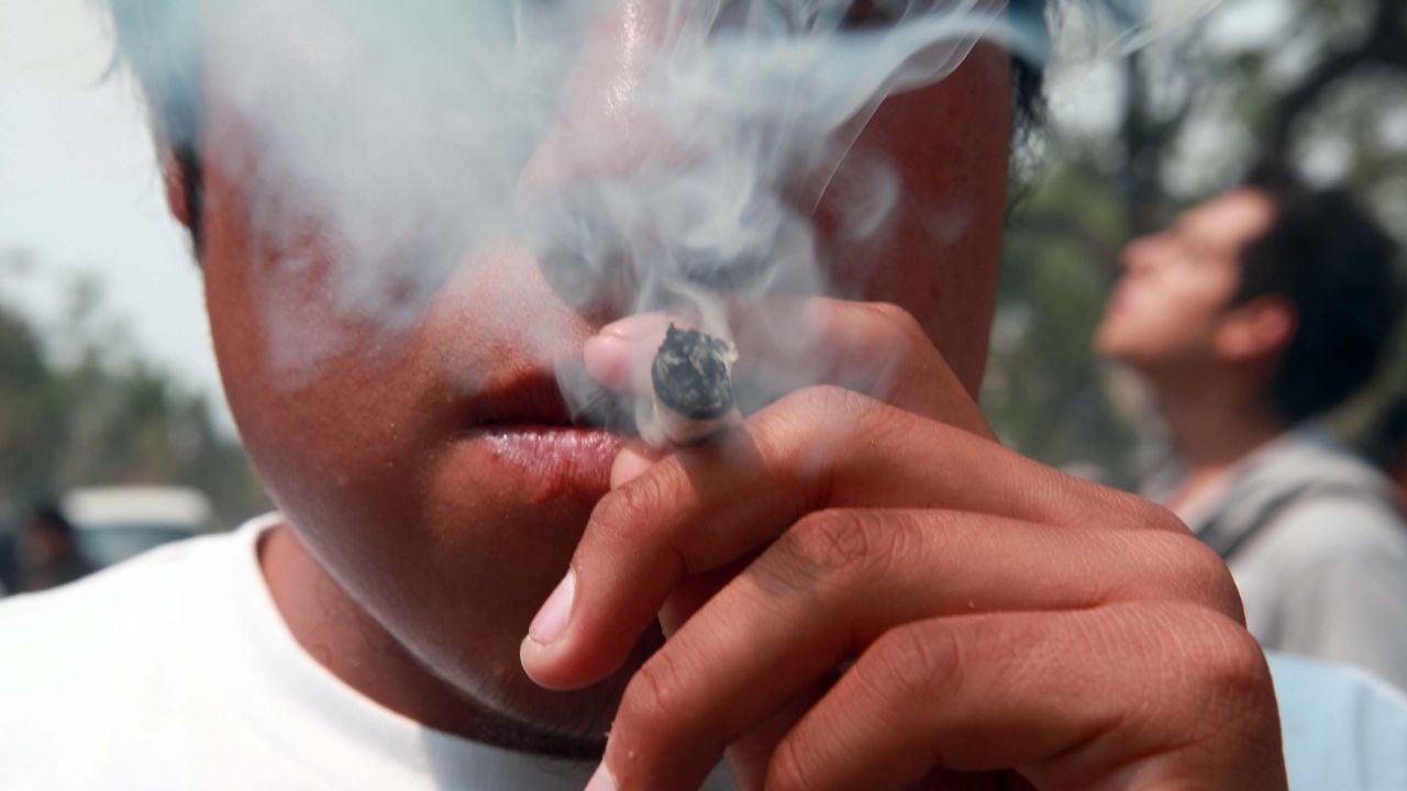 El Consejo de Nueva Derecha dice que Clara Brugada “construye una ciudad de mariguanos”
