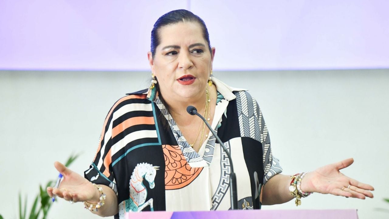 Taddei buscará una reunión con Pablo Gómez; pide “prudencia” en la reforma electoral