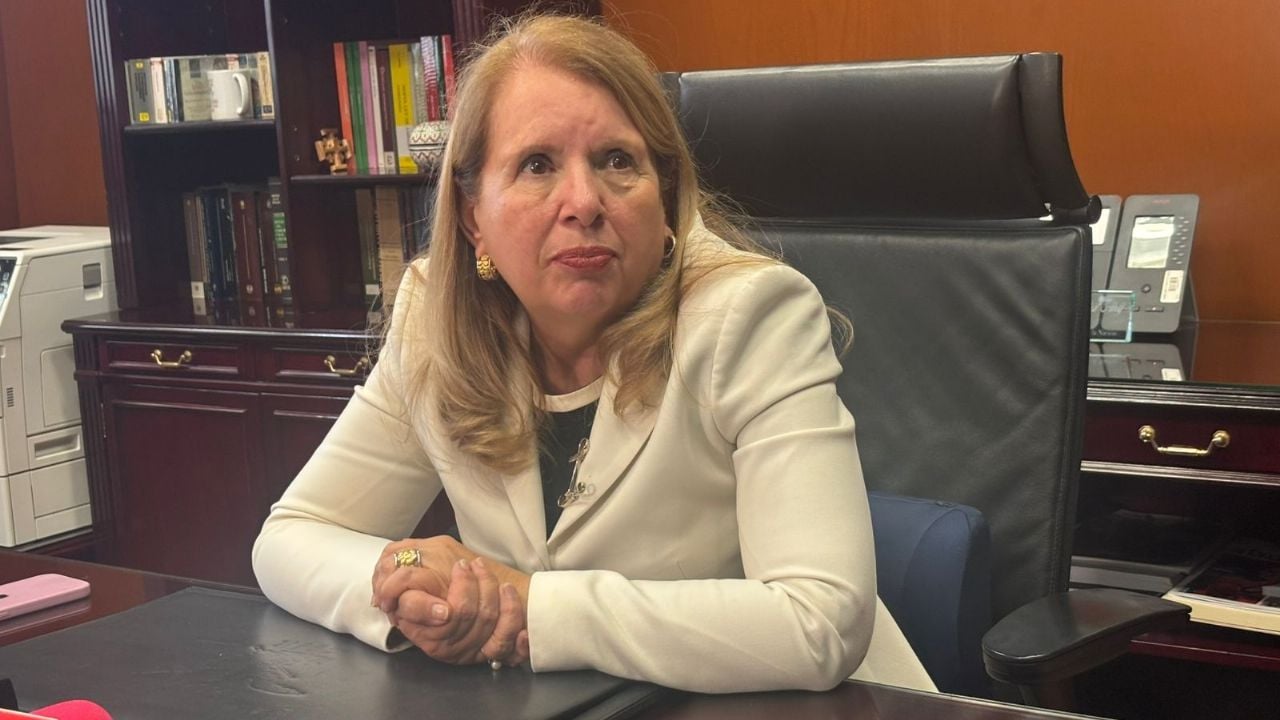 Hubiera sido suicida si la SCJN discutía prisión preventiva: Loretta Ortiz
