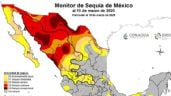 Foto ilustrativa de la nota titulada: Sonora enfrenta la peor sequía de su historia
