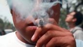 Foto ilustrativa de la nota titulada: El Consejo de Nueva Derecha dice que Clara Brugada “construye una ciudad de mariguanos”