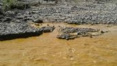Foto ilustrativa de la nota titulada: A 11 años del derrame tóxico en el Río Sonora, Comités denuncian abandono del Gobierno Federal
