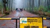Foto ilustrativa de la nota titulada: Rescatan a dos hombres que se extraviaron en el parque La Malinche