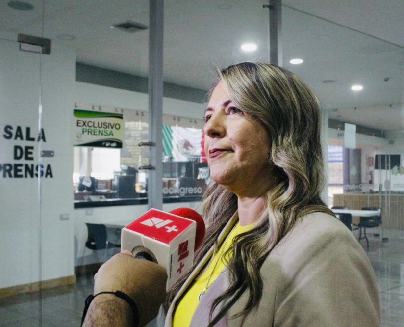 Los Programas del Bienestar, clave para la reducción de la desigualdad en nuestro país: Rosana Díaz