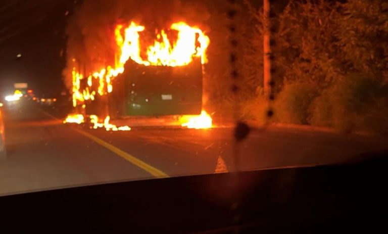 771d5739-66db-4132-8f95-6b8a359939f0-1160x700-1