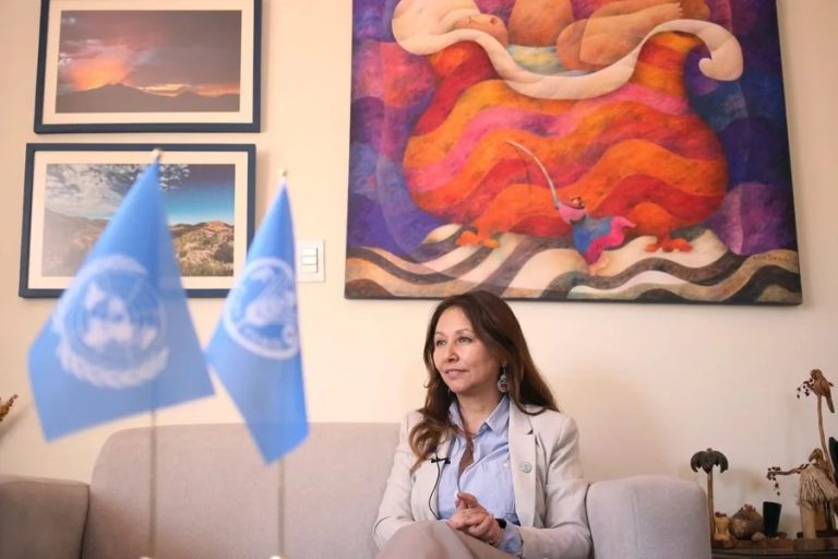 ame1032-bolivia-alimentos