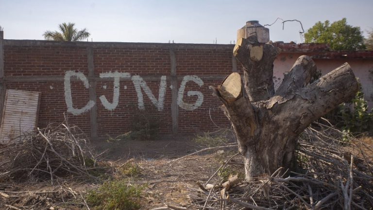 f1280x720-223165_354840_5050