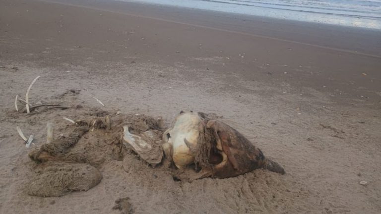 f1280x720-231824_363499_5577